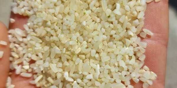 تصویر 1 از قیمت برنج نیم دانه کامفیروز با کیفیت ارزان + خرید عمده